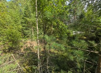 Участок на продажу, 15 сот., деревня Дубки