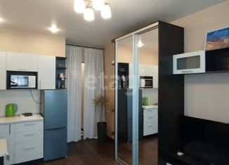 Продам квартиру студию, 23.4 м2, Амурская область, улица Василенко, 5/1