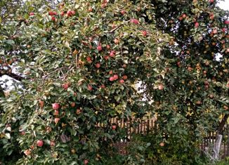 Продается земельный участок, 10 сот., поселок Новое Атлашево