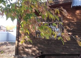 Продается дом, 46 м2, село Берёзовка, улица Кирзавода