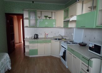 2-ком. квартира в аренду, 65 м2, Старый Оскол, микрорайон Северный, 7, ЖК Витязь