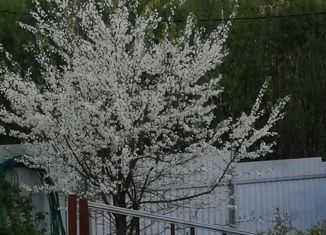 Продаю дом, 56 м2, деревня Баранцево