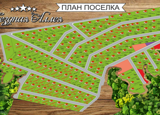 Продается земельный участок, 9.5 сот., дачный посёлок Звёздная Аллея
