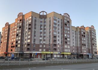 Продажа двухкомнатной квартиры, 73.6 м2, Великий Новгород, ЖК Заречный, Псковская улица, 56