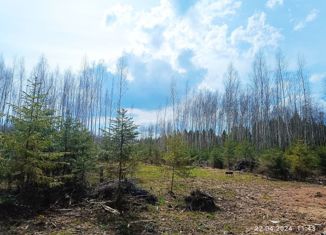 Продажа участка, 10.73 сот., деревня Шадрино, коттеджный посёлок Шадрино, 144