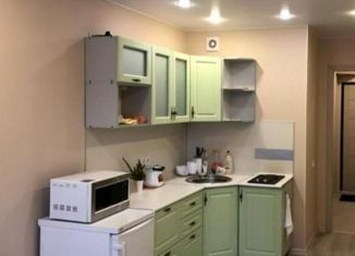 Сдача в аренду квартиры студии, 24 м2, Ленинградская область, улица Шоссе в Лаврики, 63