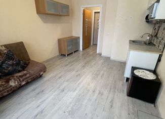 Продажа квартиры студии, 20.4 м2, Мурино, Петровский бульвар, 12к2, ЖК Краски Лета