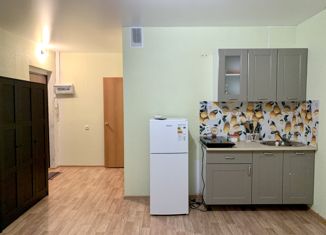 Продажа квартиры студии, 24.5 м2, микрорайон Вишнёвая Горка, Изумрудная улица, 8