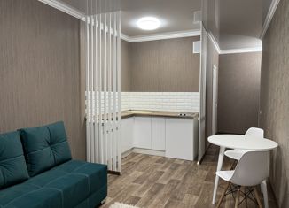 Сдается квартира студия, 26 м2, Барнаул, Партизанская улица, 203