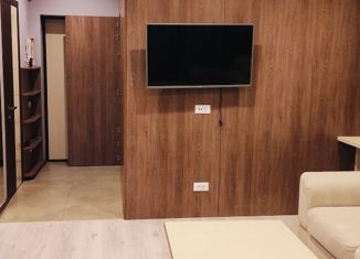Сдается 1-ком. квартира, 41.3 м2, Нижний Новгород, Студёная улица, 68А, Студёная улица