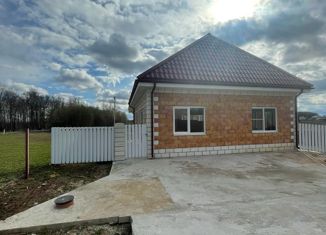 Продажа дома, 110 м2, деревня Степыгино, коттеджный посёлок Степыгино, 145