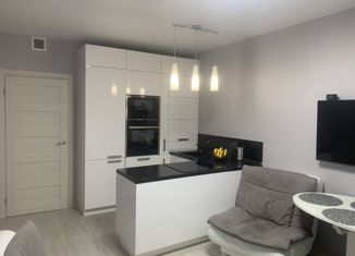 Продается однокомнатная квартира, 43 м2, Санкт-Петербург, ЖК Граффити, Парашютная улица, 42к1