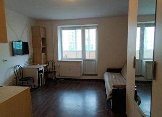 Продается квартира студия, 24.5 м2, поселок Бугры, Воронцовский бульвар, 5к1