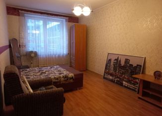 Однокомнатная квартира в аренду, 45 м2, Санкт-Петербург, Капитанская улица, 4, ЖК Морской Фасад