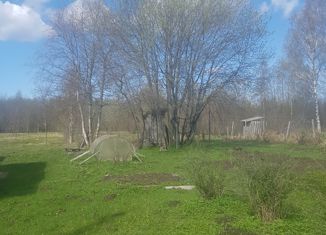 Продаю участок, 15 сот., деревня Большие Озертицы, деревня Большие Озертицы, 10