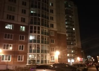 Аренда однокомнатной квартиры, 42 м2, Санкт-Петербург, улица Карпинского, 33к1, Калининский район