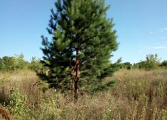 Продам земельный участок, 11 сот., поселок Бельмесево, 1-я Камышовая улица