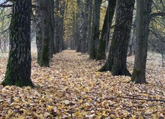 Дом на продажу, 91 м2, село Шлиппово, село Шлиппово, 50
