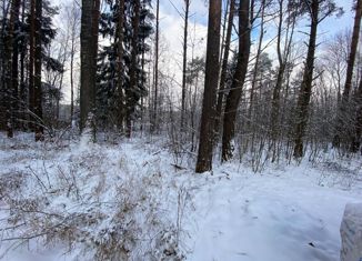 Продается участок, 55 сот., деревня Рябеево