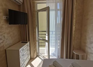 Продается 1-ком. квартира, 27 м2, посёлок городского типа Сириус, Нагорный тупик, 13Б, ЖК Сорренто Парк