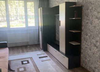 Продается однокомнатная квартира, 35.4 м2, деревня Чёрная, Тенистая улица, 6