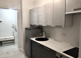 1-комнатная квартира на продажу, 29.7 м2, Мурино, улица Шоссе в Лаврики, 63, ЖК Муринское-1