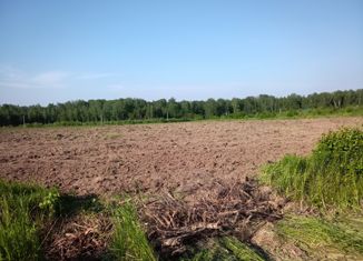 Продается участок, 15 сот., деревня Исканское