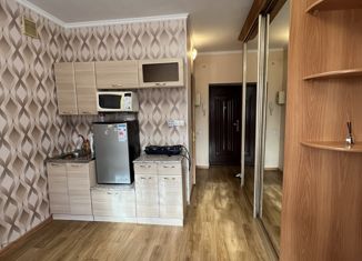 Продается квартира студия, 18.8 м2, Амурская область, Северная улица, 93