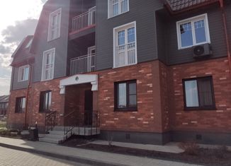 Трехкомнатная квартира на продажу, 82.8 м2, село Толмачёво, Парковая улица, 9