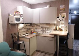 Продам квартиру студию, 21 м2, Нижний Новгород, метро Буревестник, Бурнаковская улица, 97