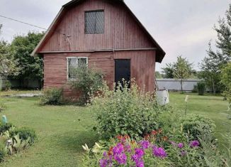 Продается дом, 36 м2, деревня Губино