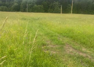 Продам участок, 15 сот., деревня Заполье, Счастливая улица