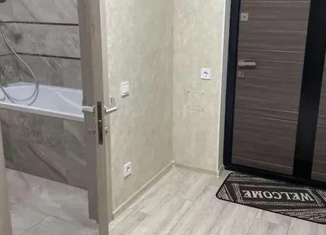 Продается однокомнатная квартира, 38 м2, посёлок Знаменский, Берёзовая улица, 2/1