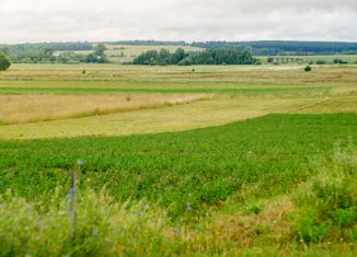 Продажа участка, 30 сот., деревня Кудрино, Полевая улица