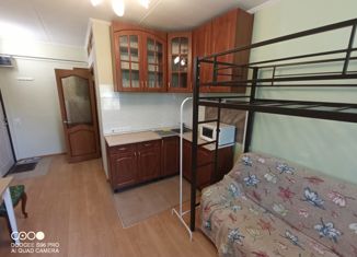 Сдам в аренду квартиру студию, 18 м2, Москва, Дербеневская набережная, 13/17к1, станция Автозаводская