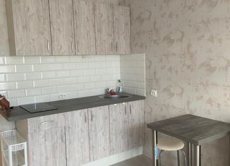 Сдается квартира студия, 23 м2, Мурино, улица Шоссе в Лаврики, 67, ЖК Муринское-1