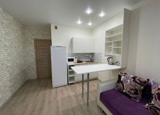Продаю квартиру студию, 22.9 м2, Санкт-Петербург, Дизельный проезд, 11к1, метро Звёздная