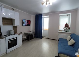 Квартира на продажу студия, 28 м2, Октябрьский, улица Рахимьяна Насырова, 3