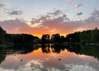 Продается дом, 40 м2, садоводческое некоммерческое товарищество Аэрофлот, Лесная улица, 1