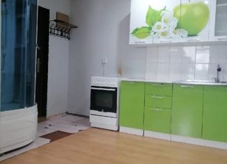 1-ком. квартира на продажу, 18 м2, Октябрьский, улица Гоголя, 28
