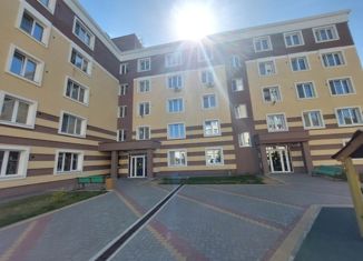 Продам двухкомнатную квартиру, 49.3 м2, Новосибирская область, Народная улица, 59