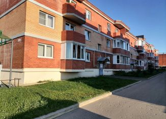 Продажа 1-ком. квартиры, 31.4 м2, посёлок Щедрино, Каштановая улица, 12