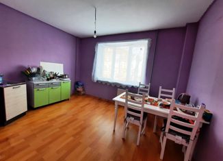Продаю 2-комнатную квартиру, 58 м2, Новосибирск, улица Михаила Кулагина, 33, ЖК Молодёжный