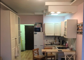 Продается квартира студия, 19.1 м2, Санкт-Петербург, Богатырский проспект, 49к1, муниципальный округ № 65