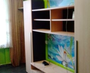 Комната в аренду, 56 м2, посёлок Репино, Приморское шоссе, 423к1