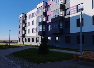 Продажа квартиры студии, 24.44 м2, деревня Малое Верево, улица Кутышева, 9Вк9