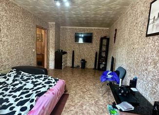 Продается 1-ком. квартира, 33.5 м2, Саров, улица Силкина, 4А