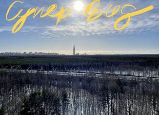 Продаю квартиру студию, 21.3 м2, Санкт-Петербург, Планерная улица, 87к1, ЖК Форест Аквилон