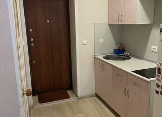 Продажа 1-комнатной квартиры, 16.4 м2, Самара, проспект Юных Пионеров, 61, Промышленный район