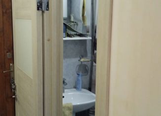 Продам однокомнатную квартиру, 29.2 м2, садовое товарищество Кипарис, садовое товарищество Кипарис, 9